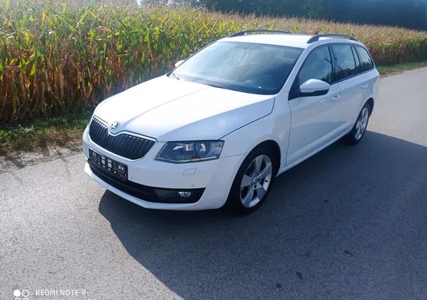 skoda octavia kałuszyn Skoda Octavia cena 36000 przebieg: 140000, rok produkcji 2017 z Kałuszyn